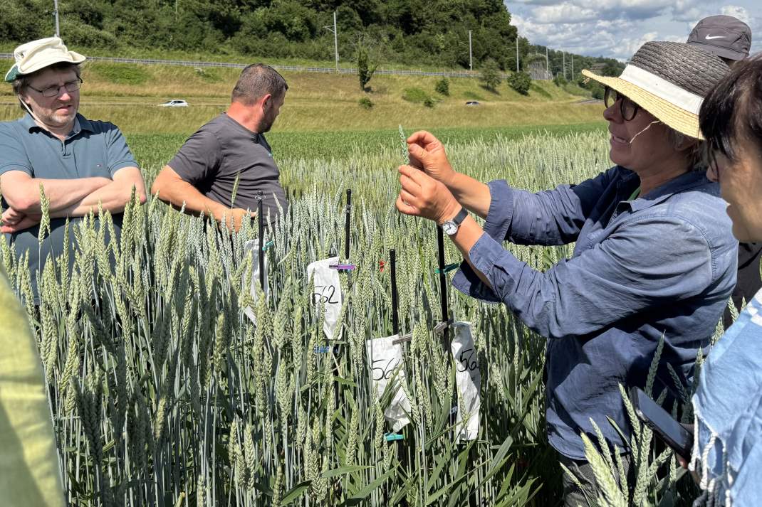 Führung im gzpk-Zuchtgarten