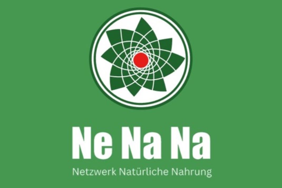 Ne Na Na - Logo