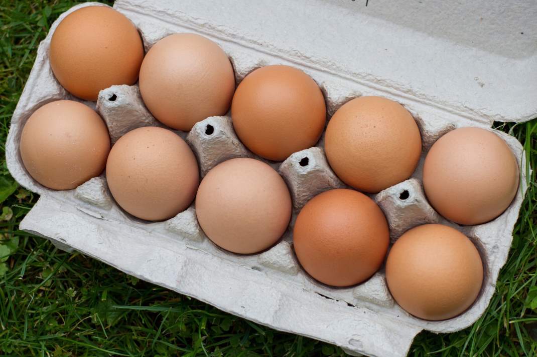 Zehn Eier in einem Eierkarton